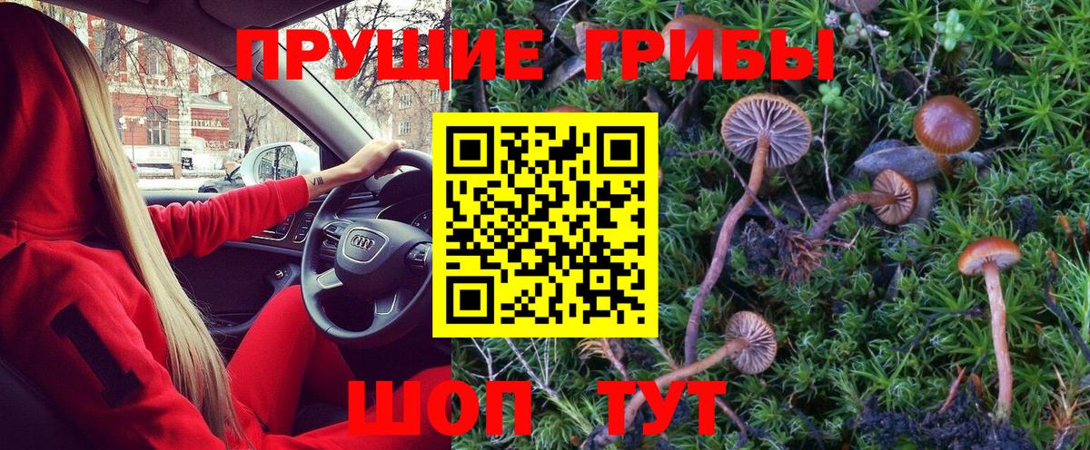 Псилоцибиновые грибы Magic Shrooms Курганинск