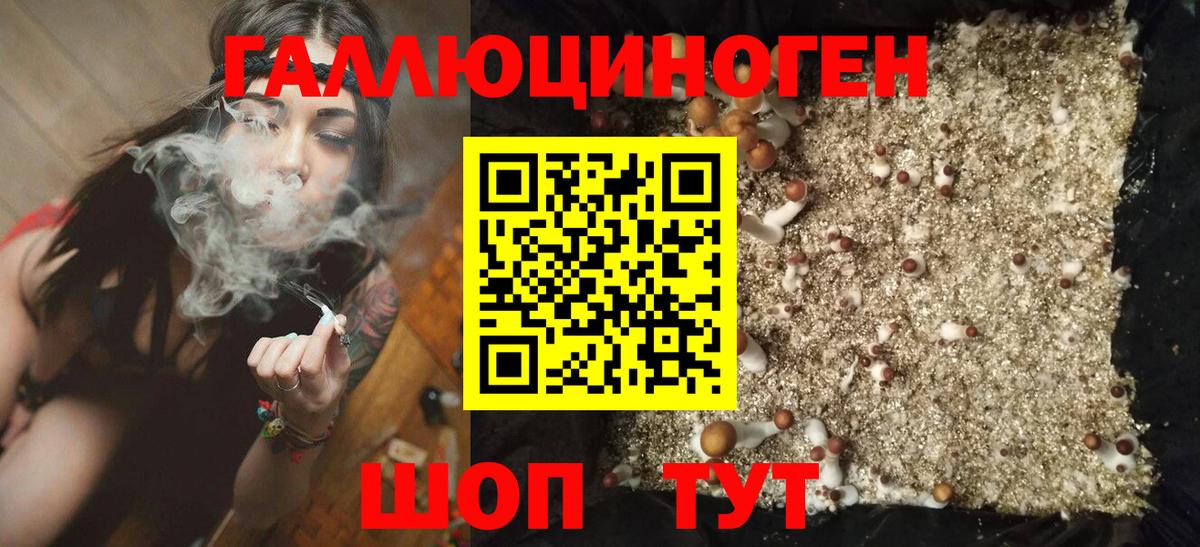 Псилоцибиновые грибы Cubensis  Вход с VPN  Курганинск  Псилоцибиновые грибы Magic Shrooms 